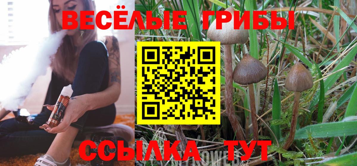 Псилоцибиновые грибы MAGIC MUSHROOMS  Псилоцибиновые грибы Cubensis  Саяногорск  Вход с VPN 